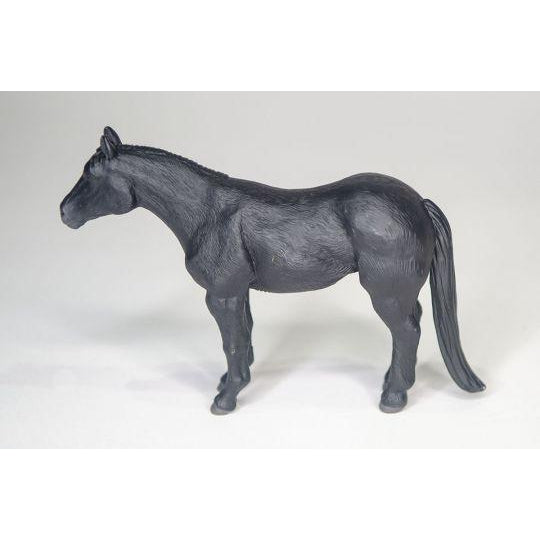 Quarter Horse Black