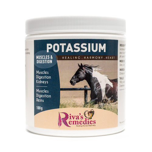 Riva's Remedies Equine Potassium - 100g