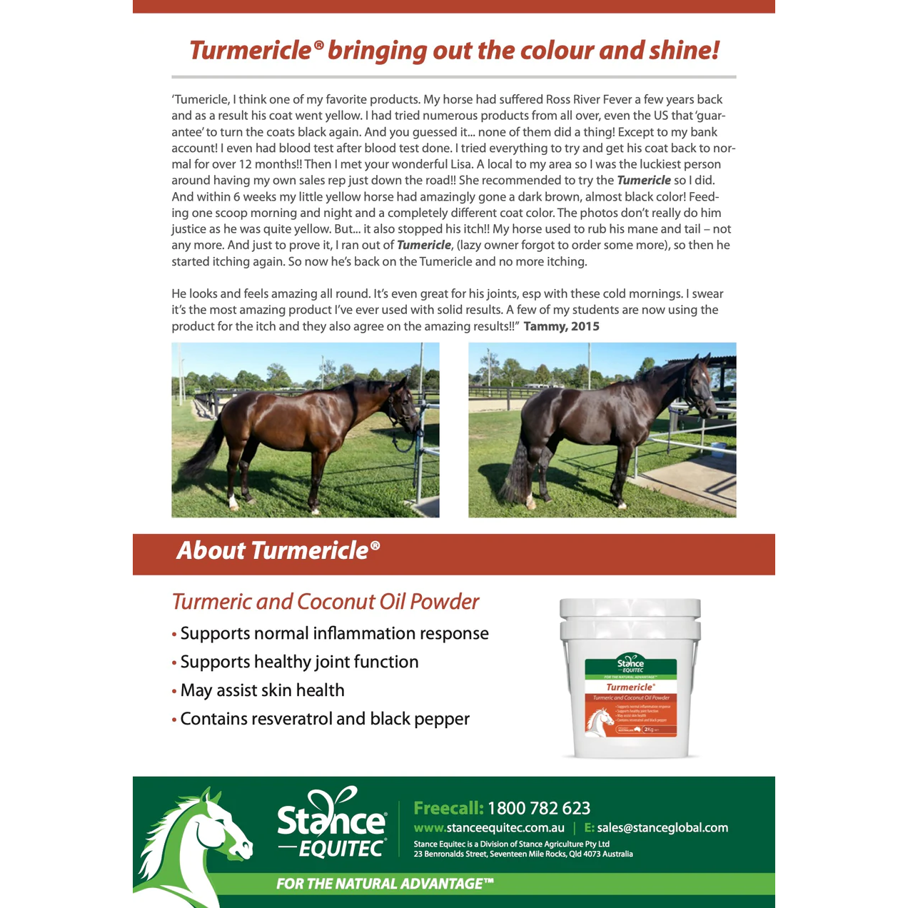 Stance Eq Turmericle - 10KG