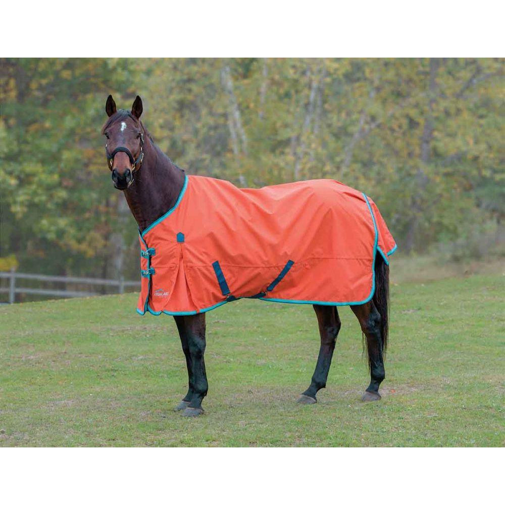 Highlander Plus Lite Standard Neck