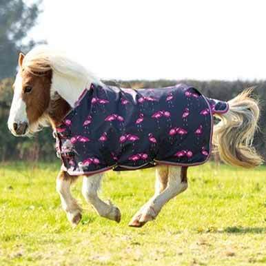 Miniature Highlander Lite