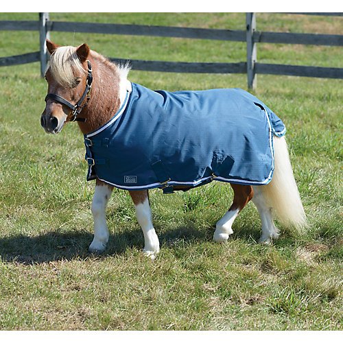 MINATURE HIGHLANDER LITE