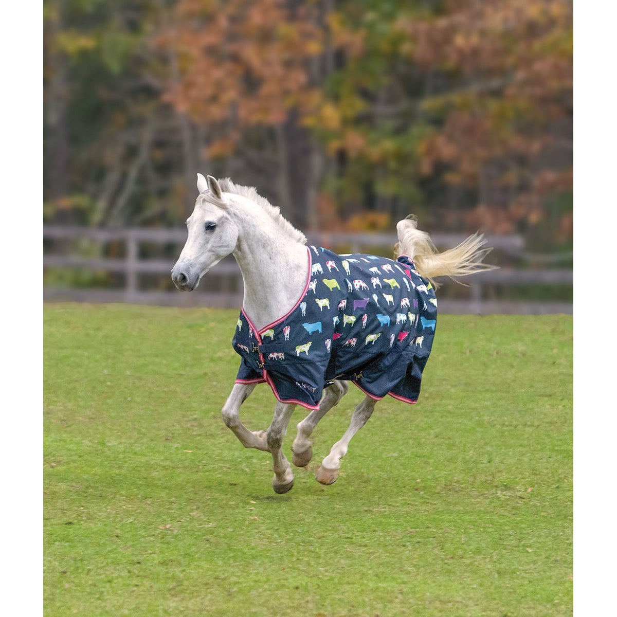 TEMPEST ORIGINAL 200