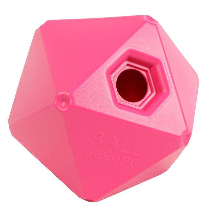 Ball Feeder - Irvine Tack & Western Wear