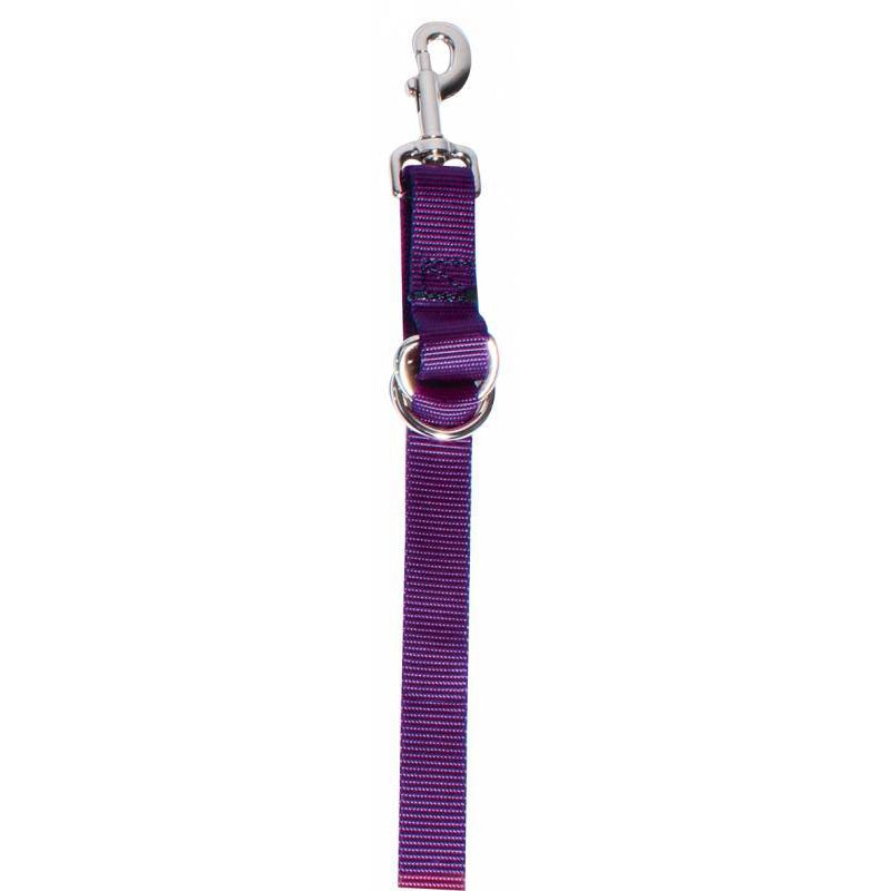 Tie Down Nylon 1" Purple