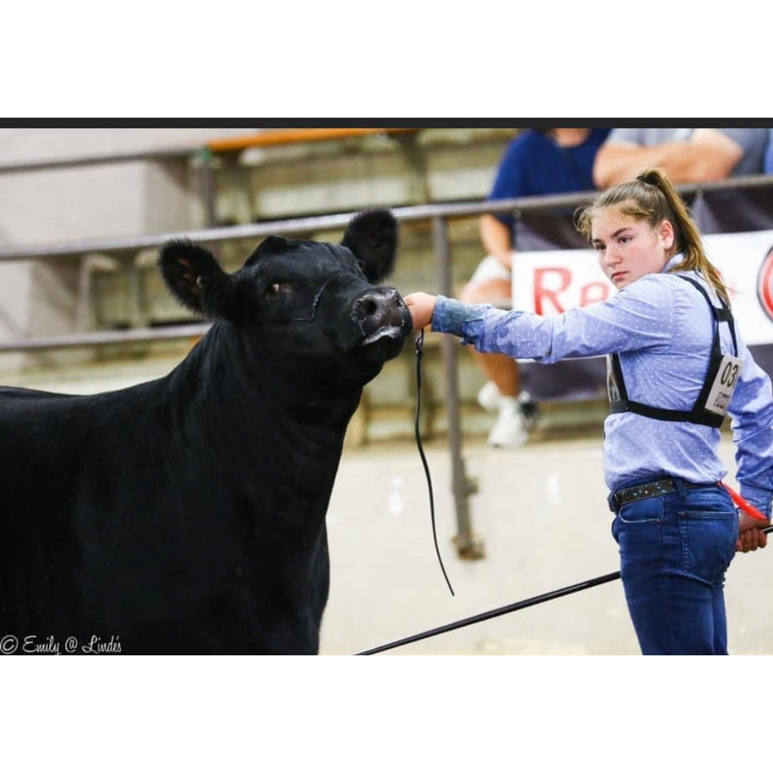 Phantom Cable Cattle Halter - Black