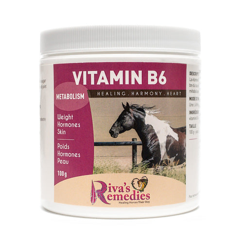 Riva's Remedies Equine Vitamin B6 - 100g
