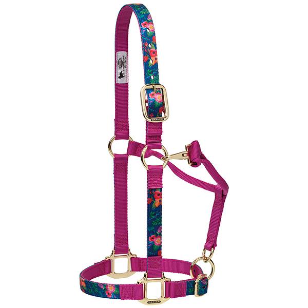 Weaver Leather Nylon Adjustable Chin and Throat Snap Horse Halter-Small Horse