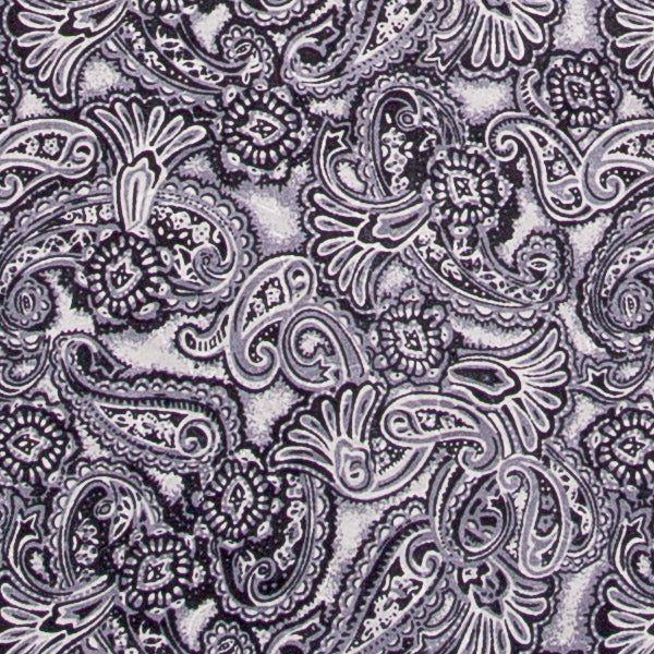 Wyoming Traders Silk Scarf - Paisley