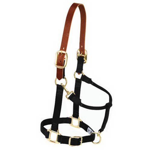 Weaver Leather Nylon Adjustable Breakaway Horse Halter - Average Horse