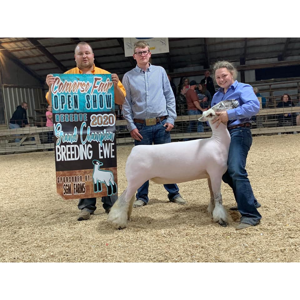 Phantom Sheep & Goat Cable Halter