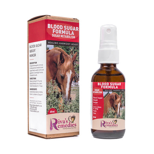 Riva's Remedies Equine Blood Sugar Formula - 60ml