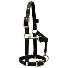 Weaver Miniature Horse Adjustable Chin and Throat Snap Halter 5/8"
