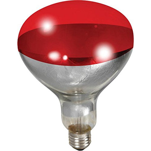 Heat Bulb Red 250wt