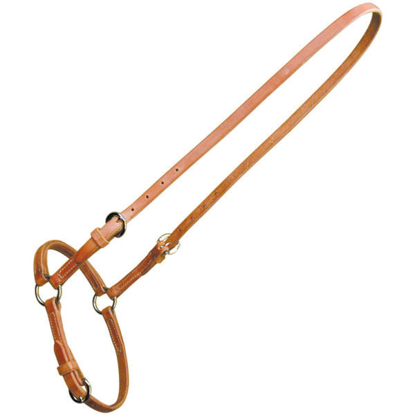 Sharon Camarillo Drop Noseband