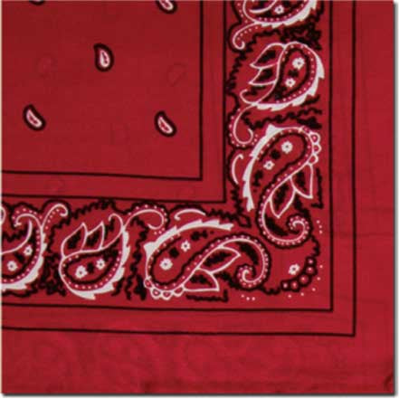 Wyoming Traders Silk Scarf - Bandana