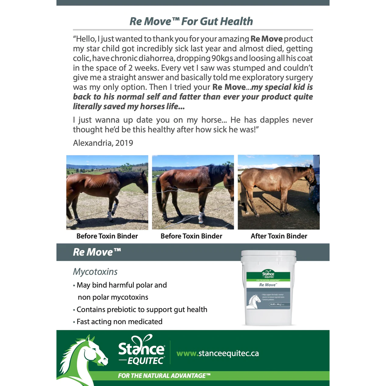 Stance Eq Re Move - 2KG