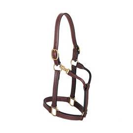 Weaver Thoroughbred Halter with Snap, 1" Horse