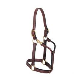 Weaver Thoroughbred Halter with Snap, 1" Horse - Irvine Tack & Western Wear