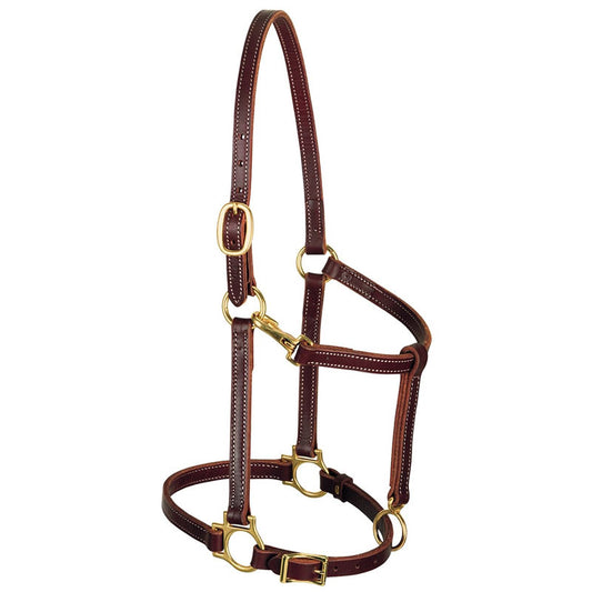 Weaver Leather 3/4" Track Halter Horse - Irvine Tack & Western Wear
