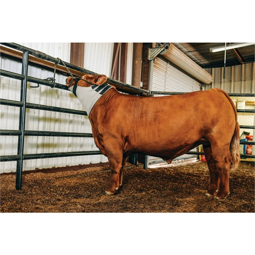 Weaver Cattle Cooling Neck Wrap