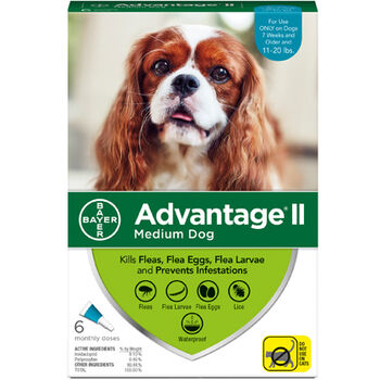 Advantage II M  Dog 6 Dose