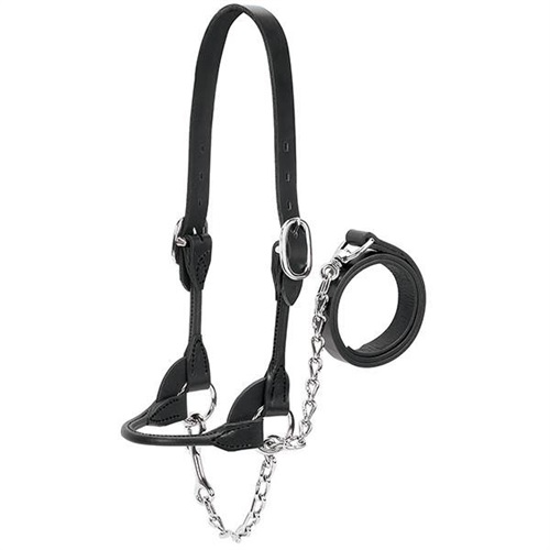 Weaver Dairy/Beef Rounded Show Halter - Black Large