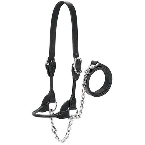 Weaver Dairy Beef Rounded Show Halter