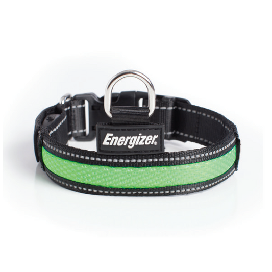 Energizer Dog Blaze USB Collar Green LG