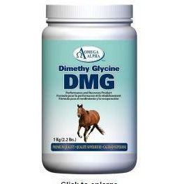 Omega Alpha Dimethyl Glycine DMG 1kg