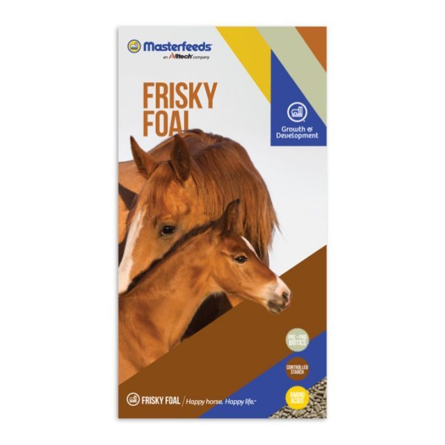 Masterfeeds 17% Frisky Foal (Pellet) - 25kg