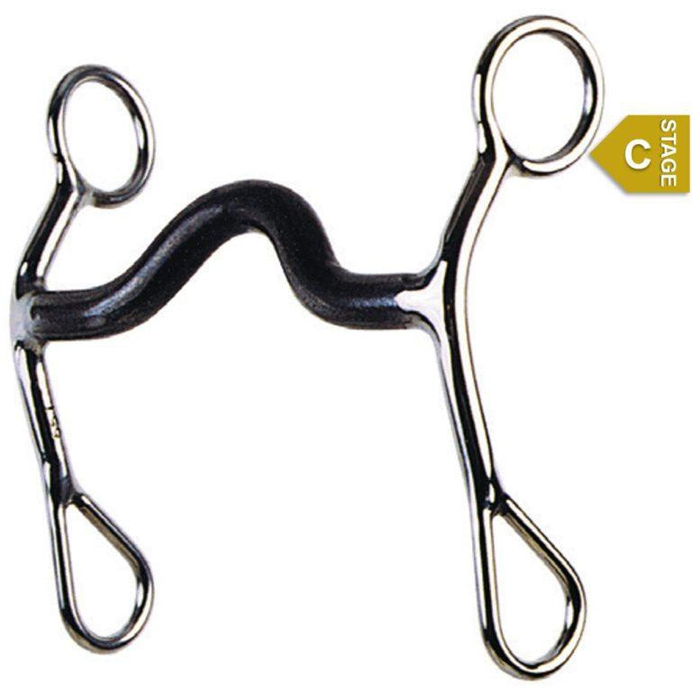 Reinsman "C" Sweet Iron Medium Port Bit