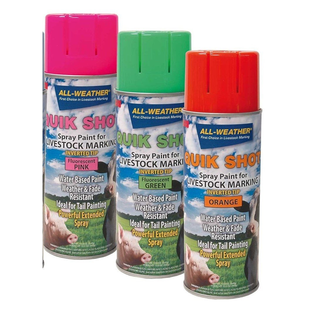 Quik Shot Inverted Tip Flourescent Pink Marking Paint 12 oz