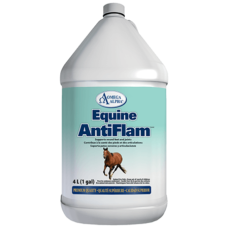 Omega Alpha Equine AntiFlam 4L