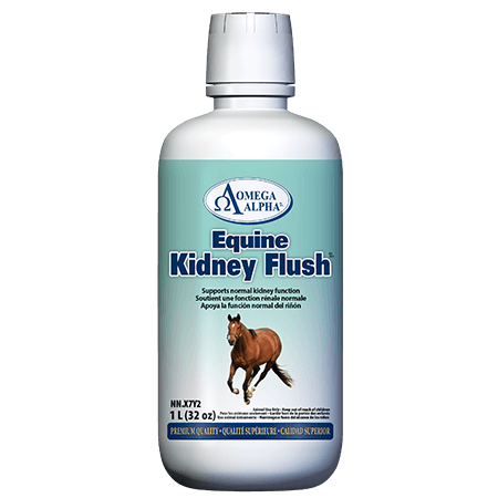Omega Alpha Equine Kidney Flush 1L