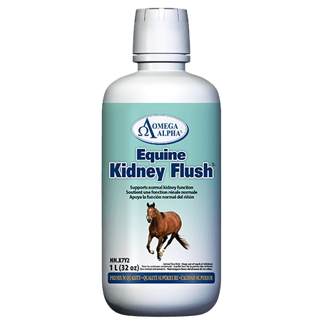 Omega Alpha Equine Kidney Flush