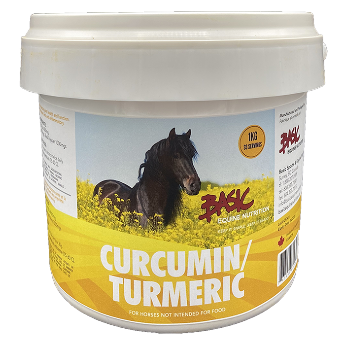 Basic Equine Curcumin/Tumeric 1 KG