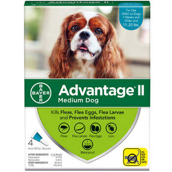 Advantage II M  Dog 4  Dose