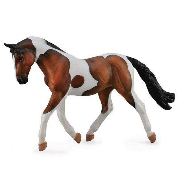 Reeves Pinto Mare Bay - Irvine Tack & Western Wear