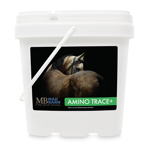 Mad Barn Amino Trace+ Pellets - Irvine Tack & Western Wear