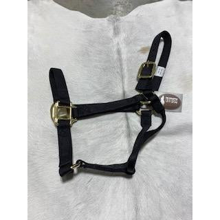 Irvine Flat Webbing Halter - Average - Irvine Tack & Western Wear
