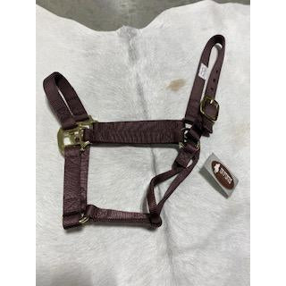 Irvine Flat Webbing Halter - Average