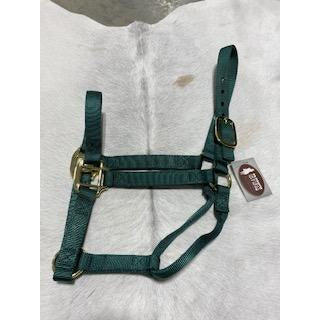 Irvine Flat Webbing Halter - Average - Irvine Tack &amp; Western Wear
