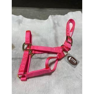 Irvine Flat Webbing Halter - Average - Irvine Tack &amp; Western Wear