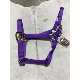 Irvine Flat Webbing Halter - Average - Irvine Tack &amp; Western Wear