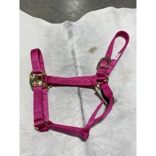 Irvine Flat Webbing Halter - Average - Irvine Tack &amp; Western Wear