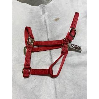 Irvine Flat Webbing Halter - Average - Irvine Tack & Western Wear