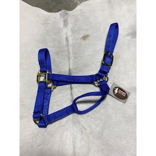Irvine Flat Webbing Halter - Average - Irvine Tack &amp; Western Wear