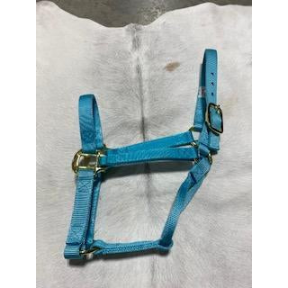 Irvine Flat Webbing Halter - Average - Irvine Tack &amp; Western Wear