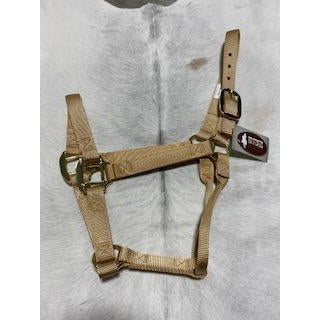 Irvine Flat Webbing Halter - Average - Irvine Tack &amp; Western Wear